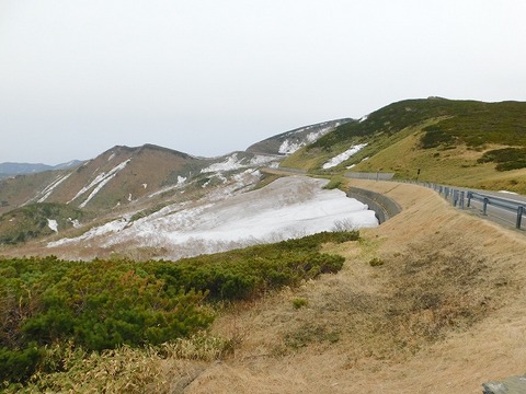 DSCN0506