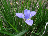 DSC00204