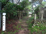 DSC05824