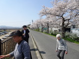DSC04779