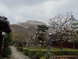 DSC00202