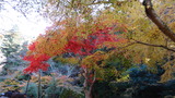 DSC00449