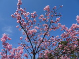 DSC00416