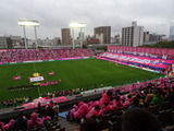 DSC01781