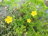 DSCN0104