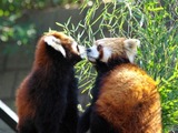 1292976322_photo