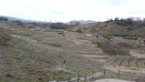 DSC00725