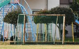 afr1701130052-p1