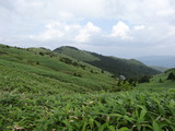 DSC01967