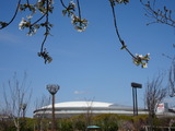 DSC00406