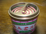DSCN5017