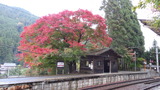 DSC00435