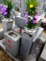 DSC09357