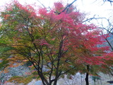 DSC01706