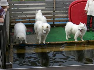 c1d028c3.jpg