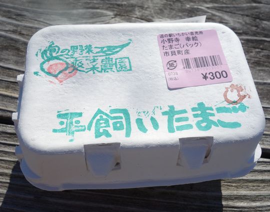 DSC00330