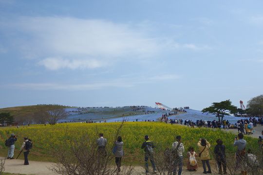 DSC00555