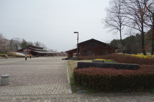 DSC00732