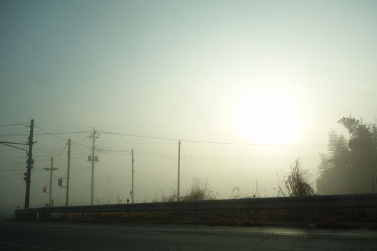 DSC00492