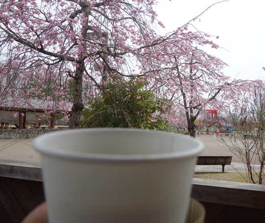 DSC00739
