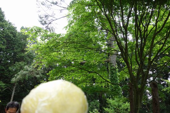 DSC01234