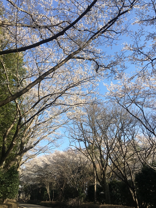 2019-04-06 16.00.37