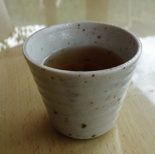 DSC04575