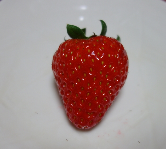12もういっこ (1)