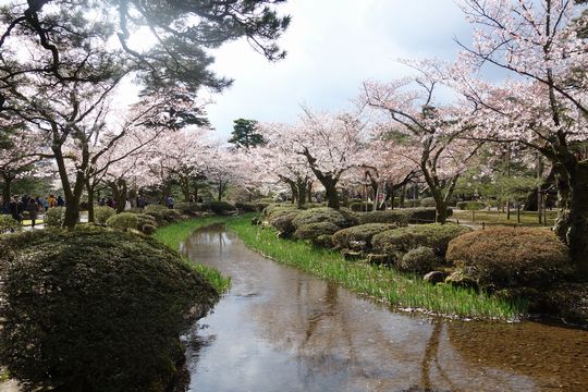 DSC01846