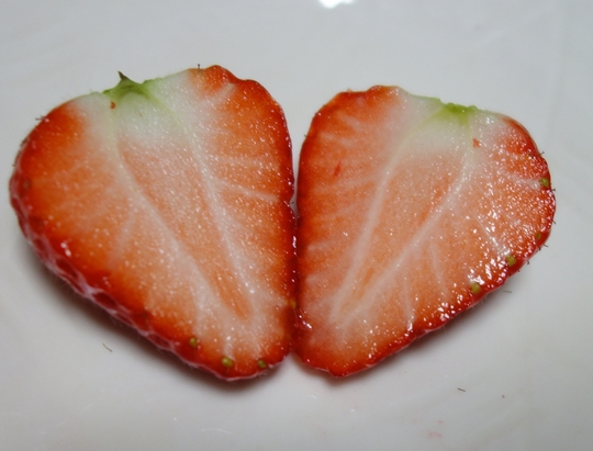 12もういっこ (2)