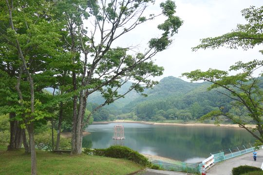 DSC04741