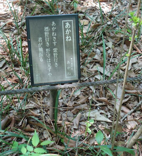 DSC02163