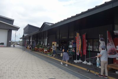 DSC03953