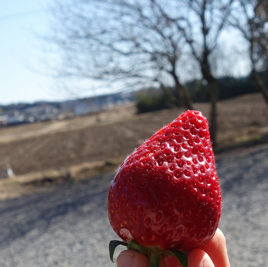 DSC05009