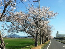 IMG-7342