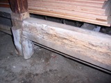 y16