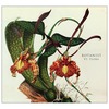 botanist-vi-flora