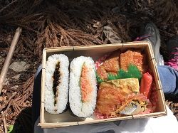 お弁当1