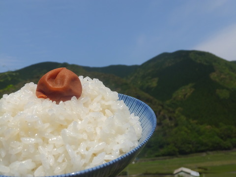 DSCF2374