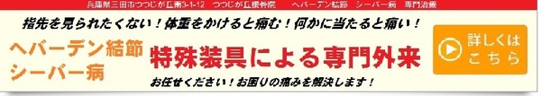 無題HEBADENN800