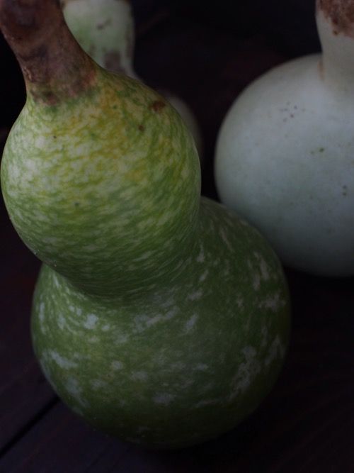 P9183553