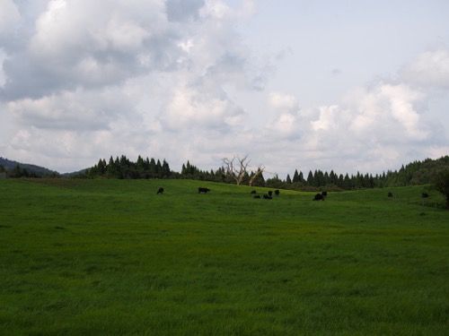 PA013783
