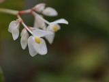 1b640771.jpg