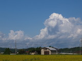 265674b3.jpg
