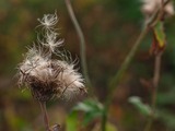 d7102c5b.jpg