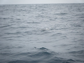 DSCF0370