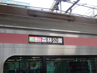 Fライナー