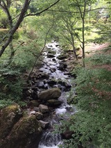 夏−6IMG_3133