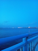 DSC_0281袖ヶ浦