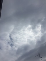 I雲MG_6843